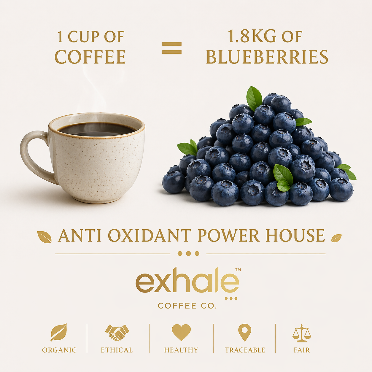THE MEASURE COFFEE PODS