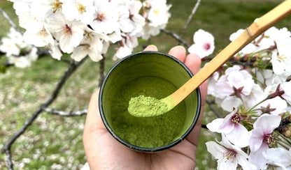 Ceremonial Classic Matcha
