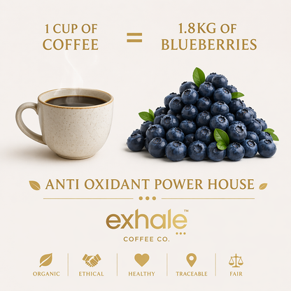 THE MEASURE COFFEE PODS