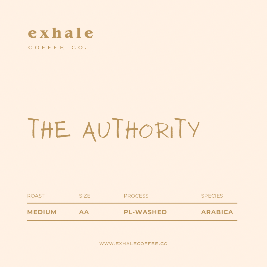 The Authority